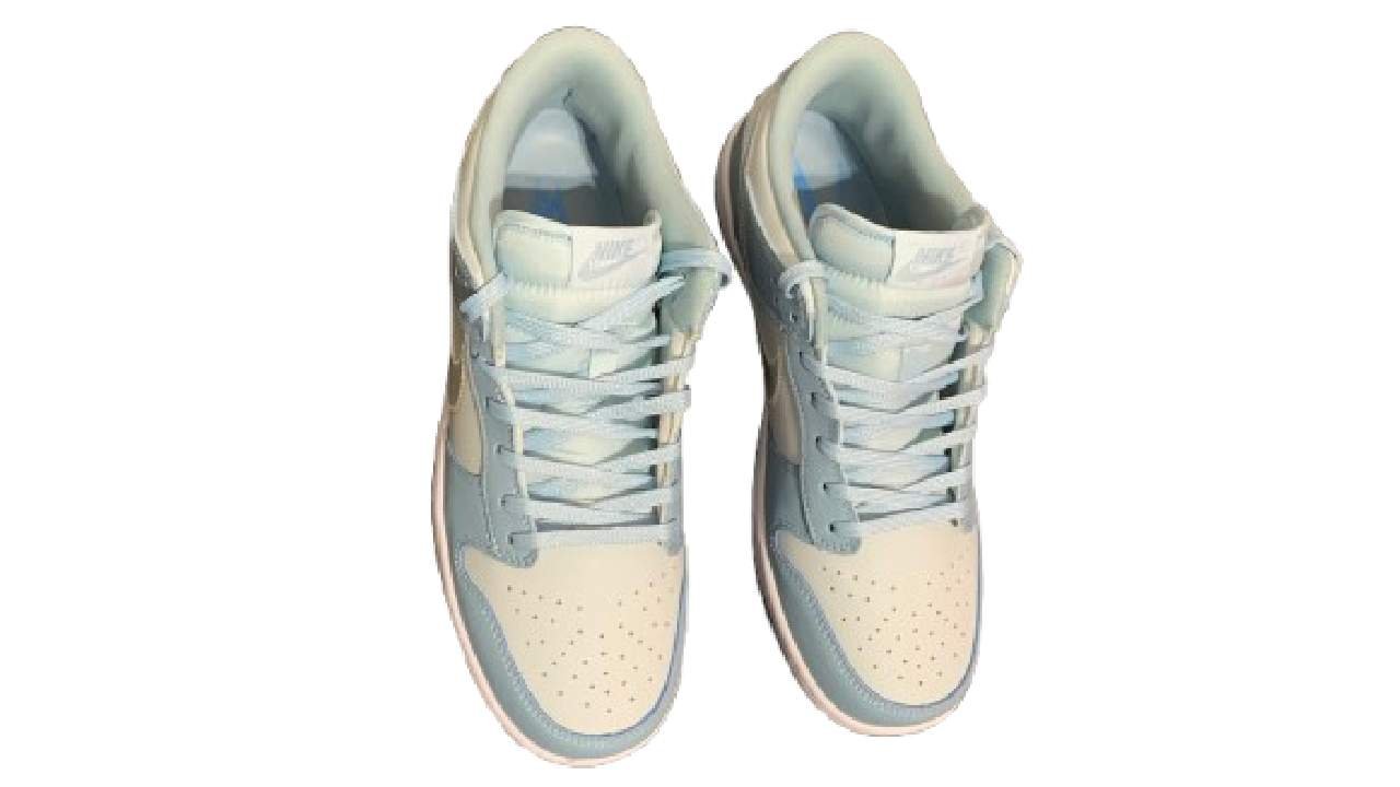 Nike SB Dunk Low Pro