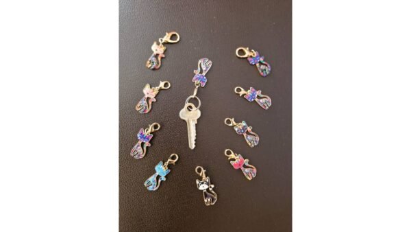 Pets key chains - 6 Pcs