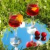 Wine Glass 243 ml : 6 Pcs