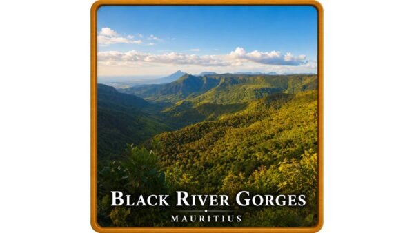 Coaster (5) Black River Gorges