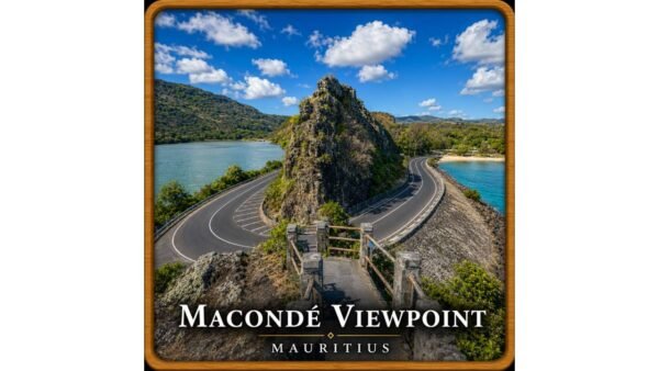 Coaster (9) Macondé Viewpoint Coaster